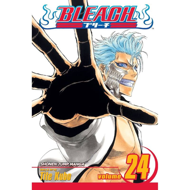 Bleach vol. 24