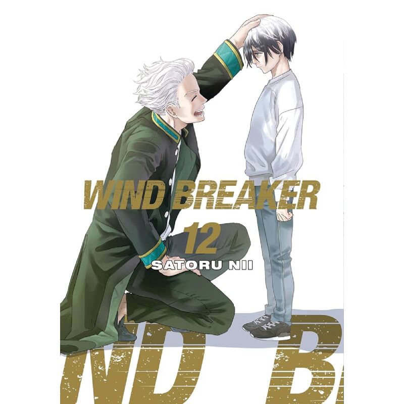 Wind Breaker vol. 12